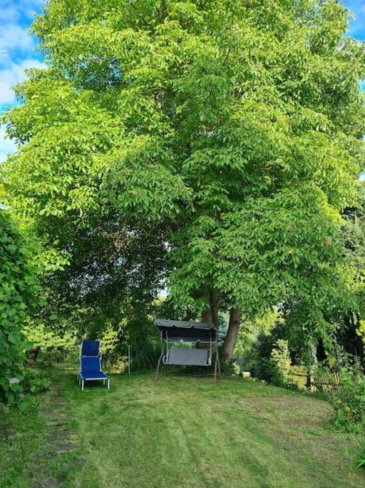 Ferienhaus Hildegard & Horst - Urlaub Im Herzen Des Fichtelgebirge Hohenberg an der Eger ภายนอก รูปภาพ